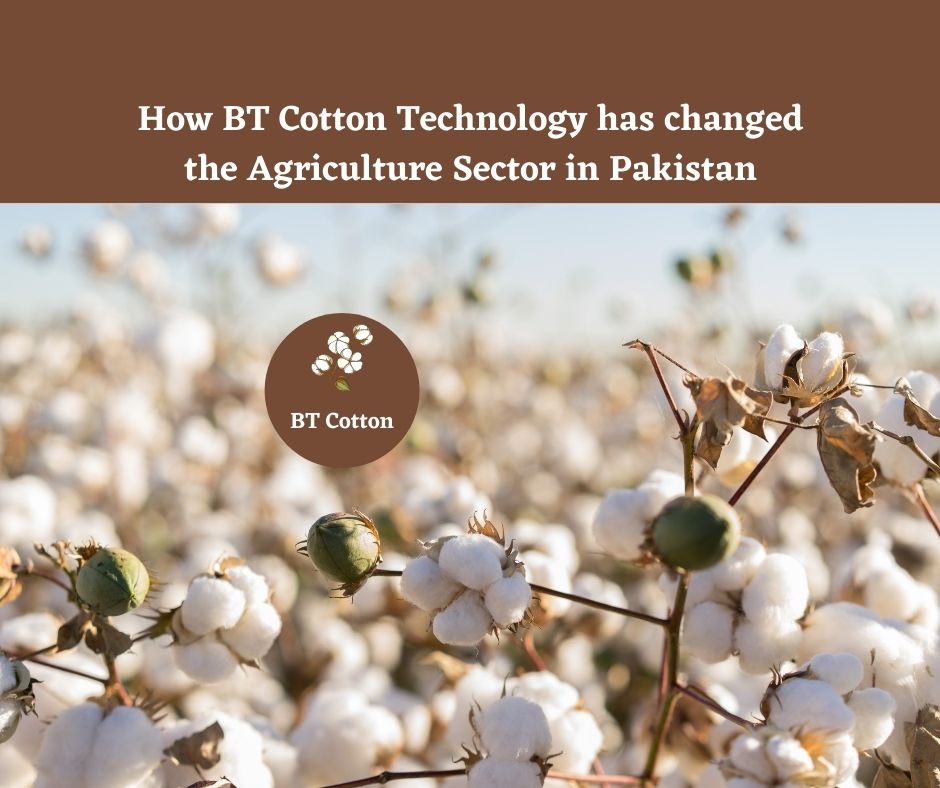How BT Cotton Technology has changed the Agriculture Sector in Pakistan