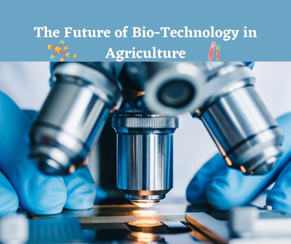The Future of Bio-Technology in Agriculture