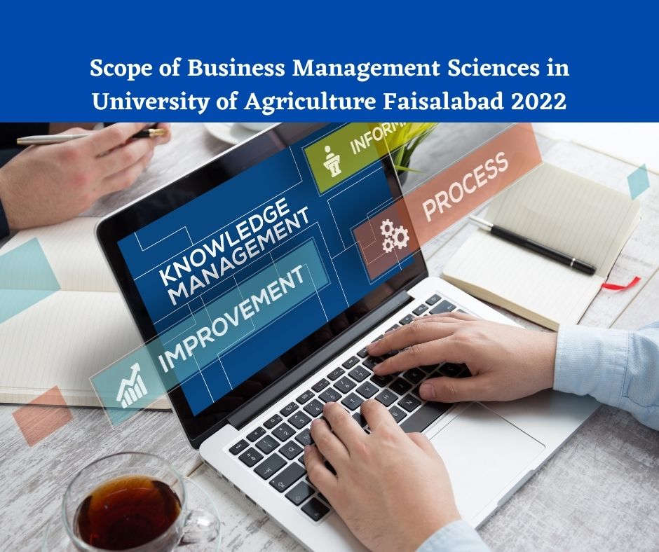 Scope of Business Management Sciences in University of Agriculture Faisalabad 2022