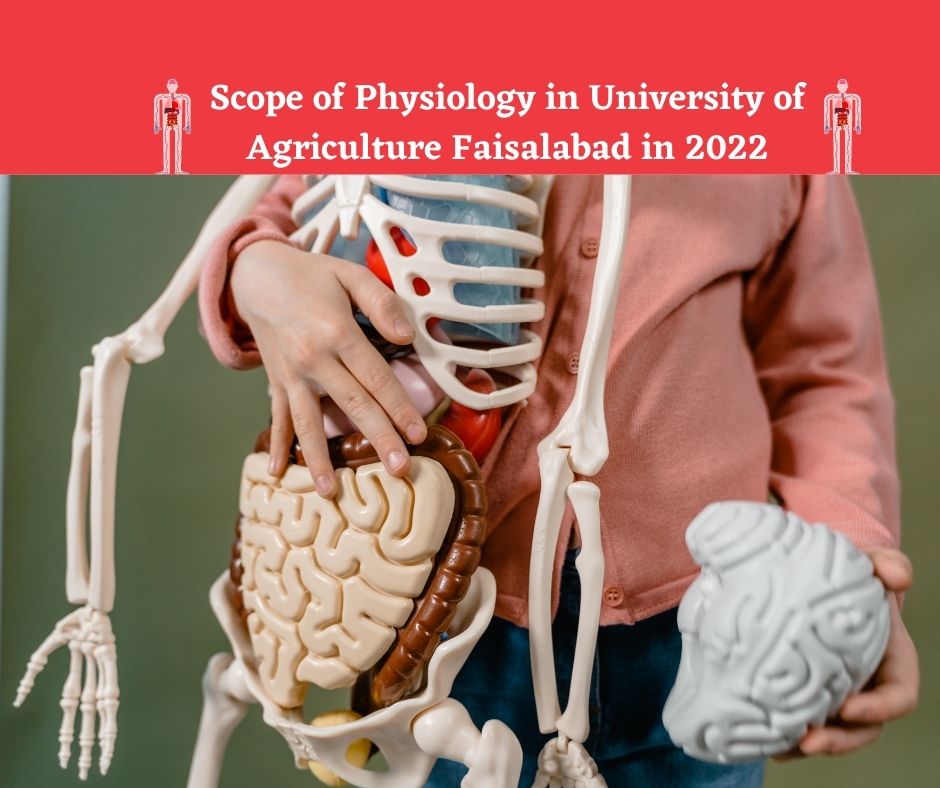 Scope of Physiology in University of Agriculture Faisalabad in 2022