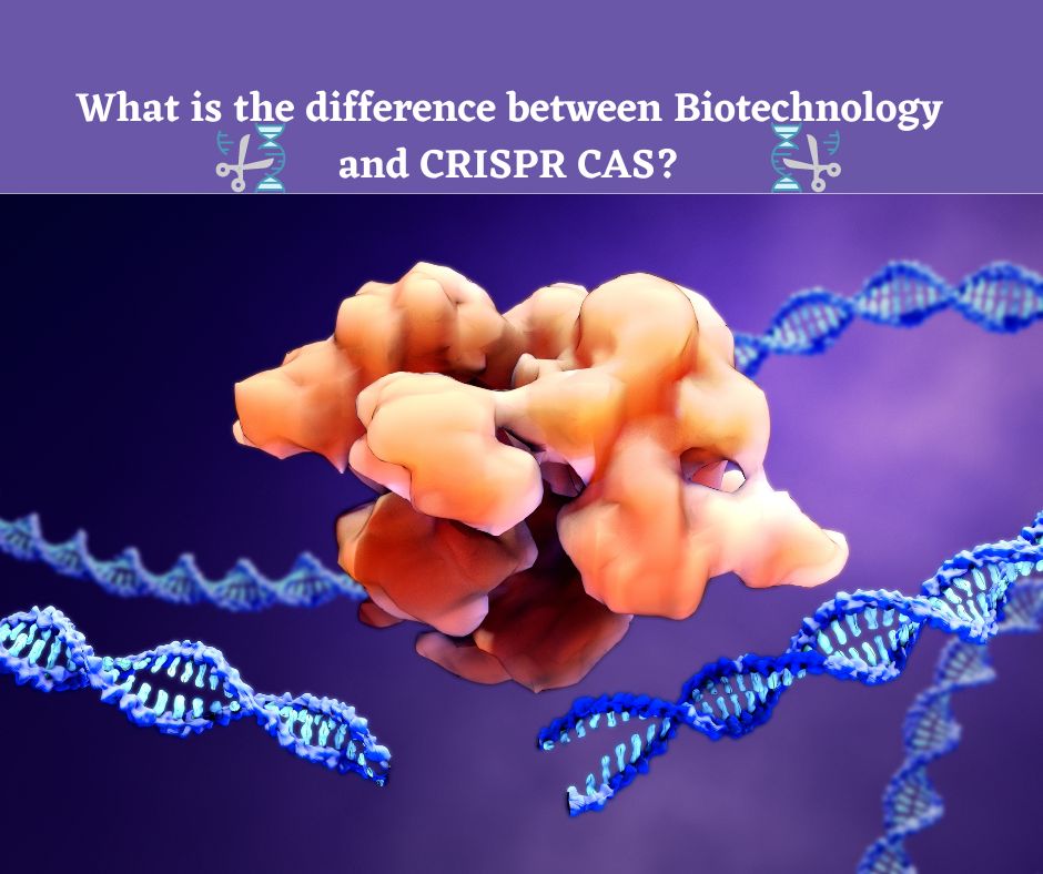 What is the difference between Biotechnology and CRISPR CAS