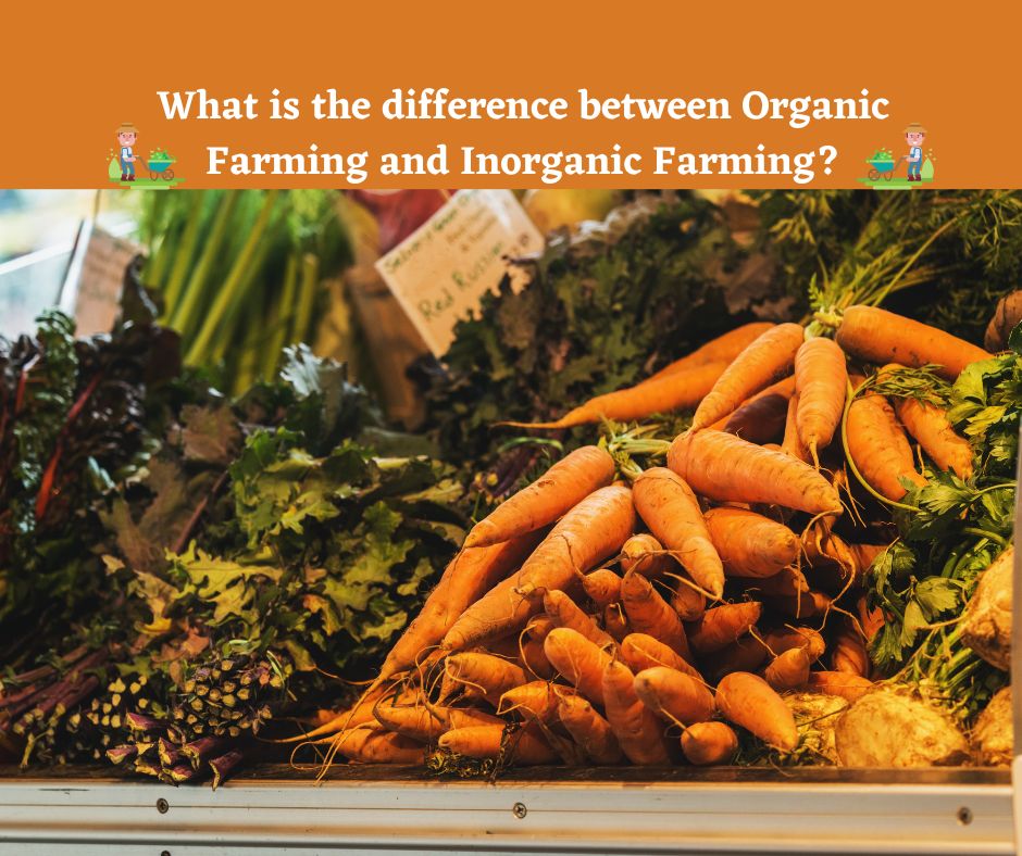 What is the difference between Organic Farming and Inorganic FarmingWhat is the difference between Organic Farming and Inorganic Farming