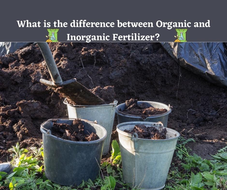What is the difference between Organic and Inorganic Fertilizer