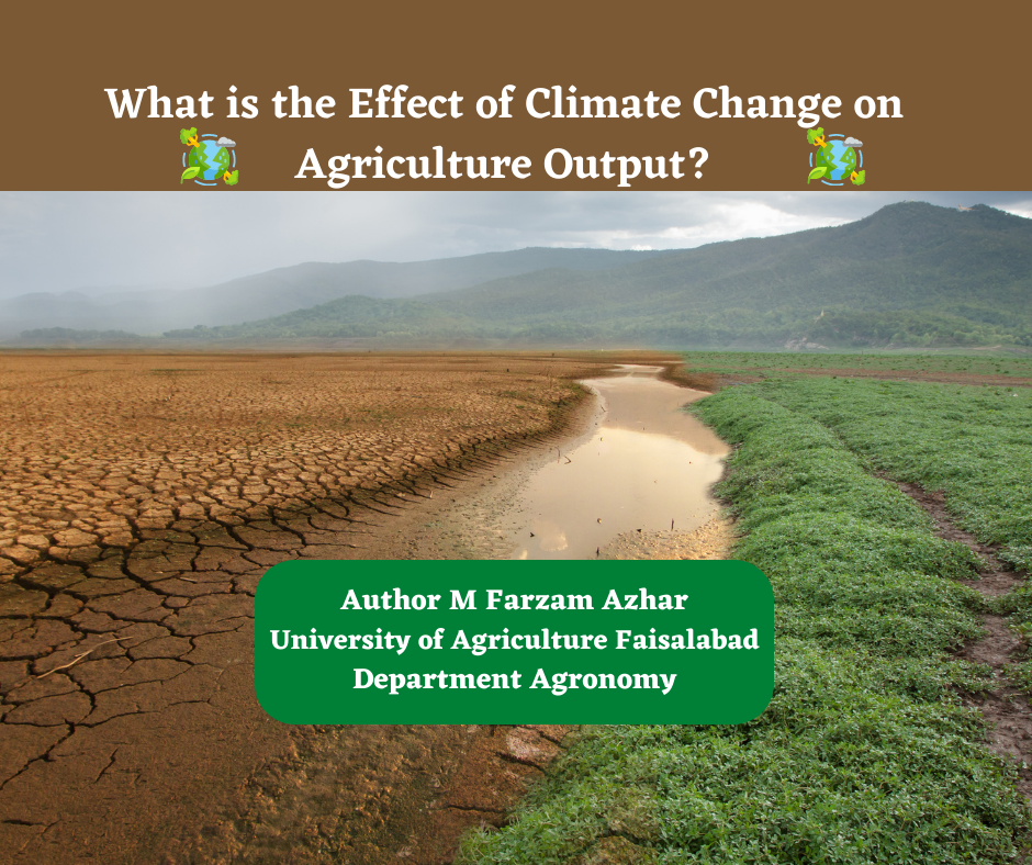 What is the Effect of Climate Change on Agriculture Output