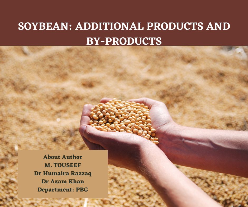SOYBEAN ADDITIONAL PRODUCTS AND BY-PRODUCTS