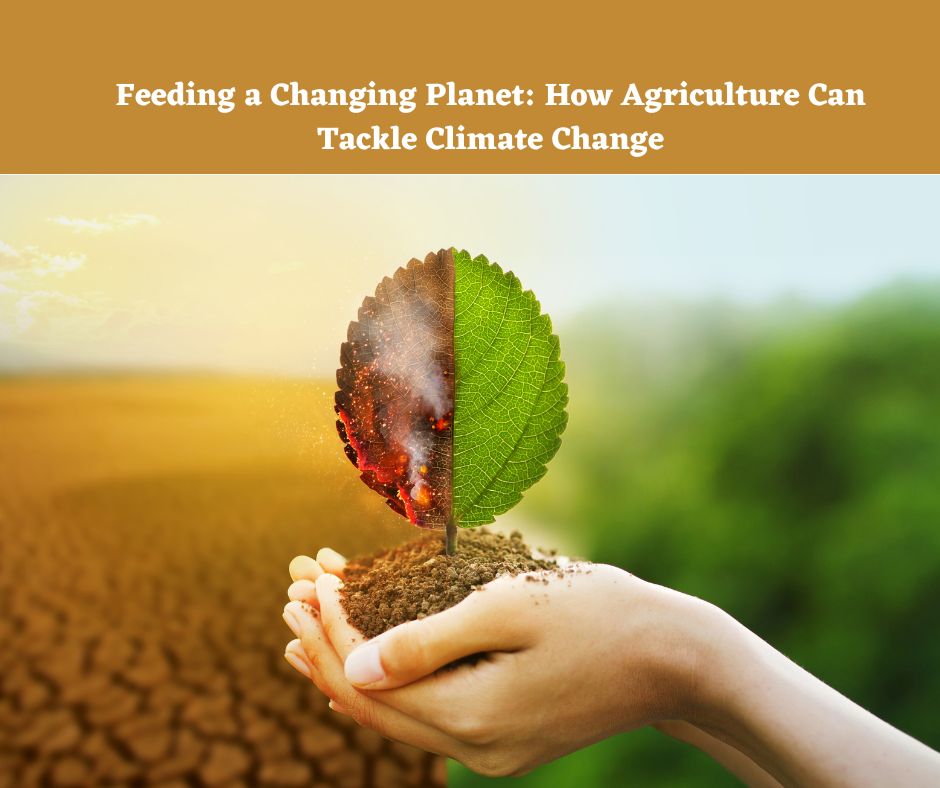 Feeding a Changing Planet How Agriculture Can Tackle Climate Change