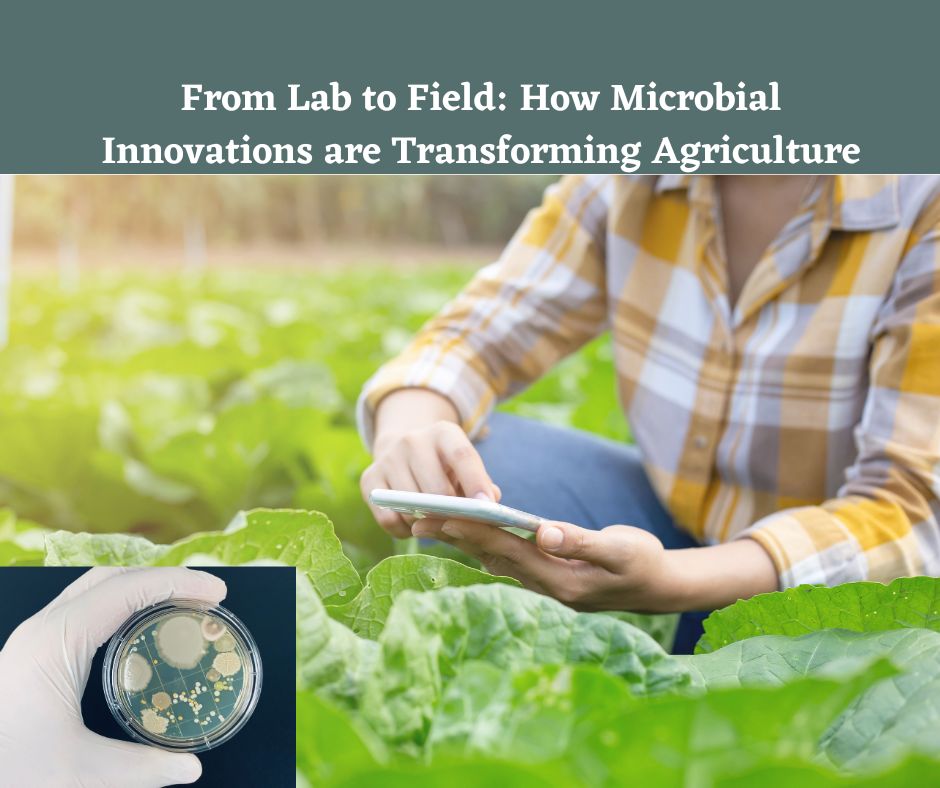 From Lab to Field How Microbial Innovations are Transforming Agriculture
