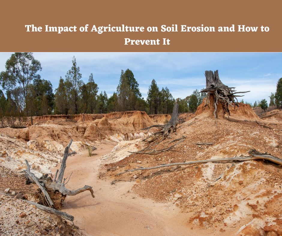 The Impact of Agriculture on Soil Erosion and How to Prevent It
