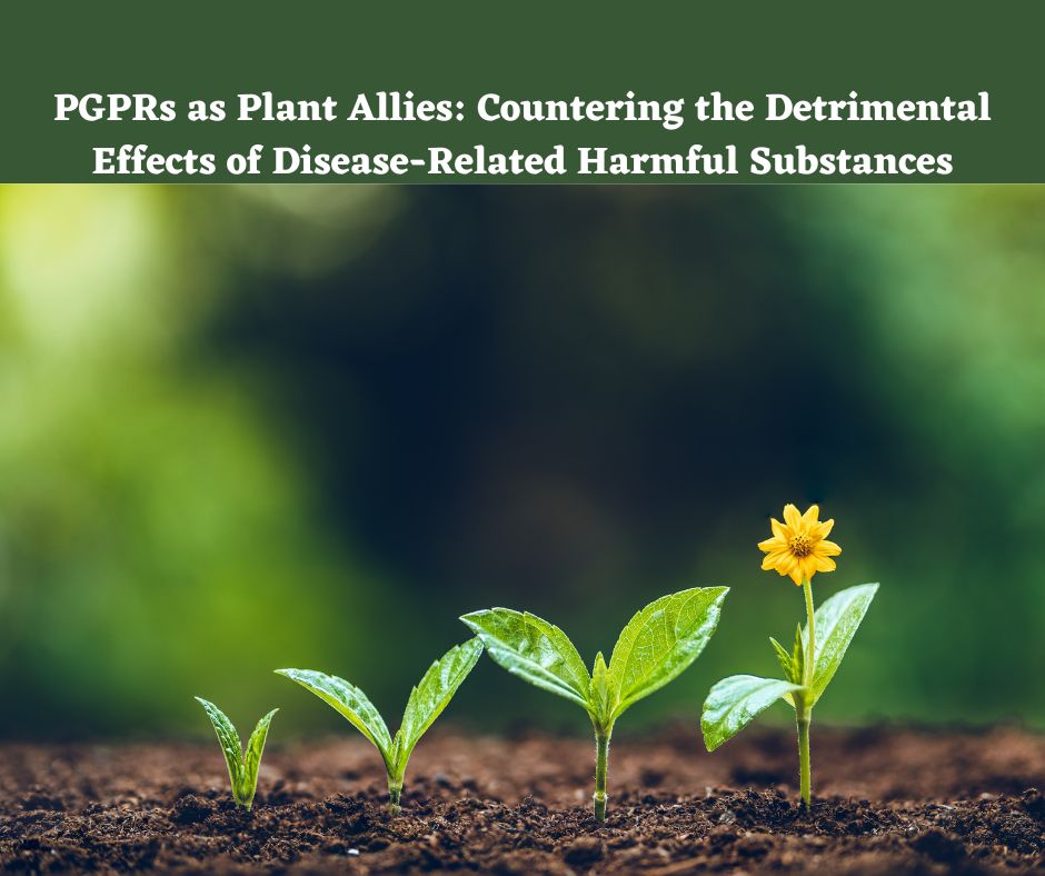 PGPRs as Plant Allies Countering the Detrimental Effects of Disease-Related Harmful Substances