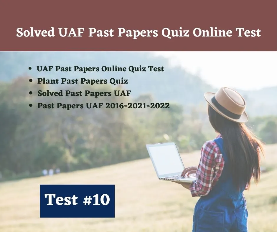 Solved UAF Past Papers Quiz Online Test