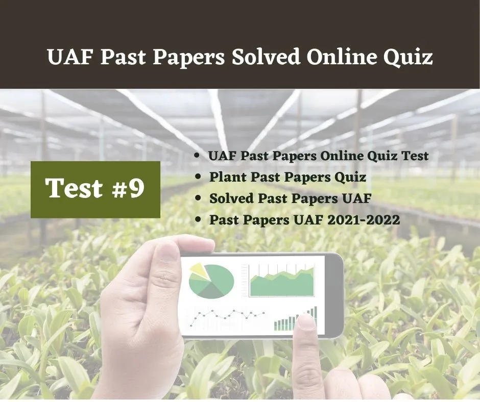 UAF Past Papers Solved Online Quiz