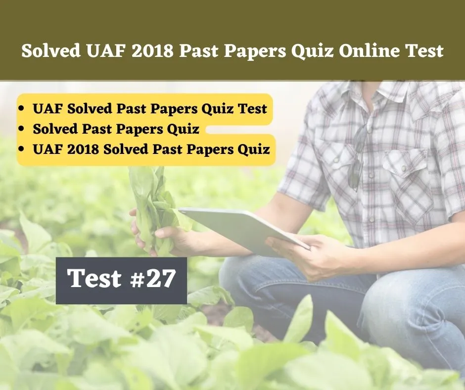 Solved UAF 2018 Past Papers Quiz Online Test